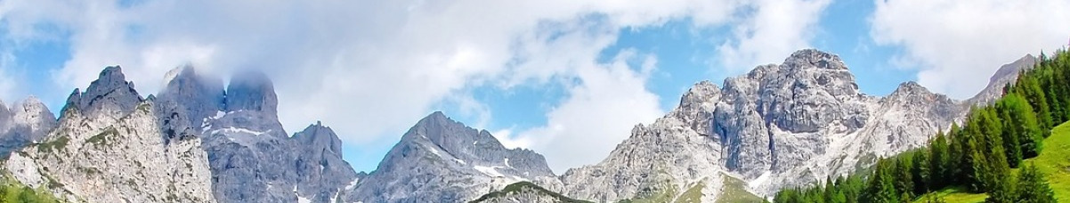 gallery/41f375a06f8d601030dc7abee5edf5dd